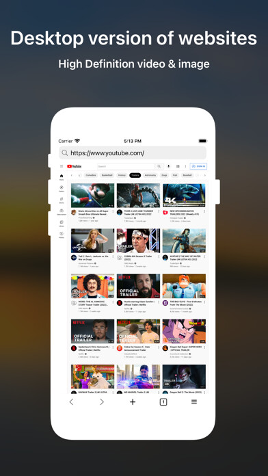 Emulate iPhone app DTNet - Desktop Browser using MyAndroid