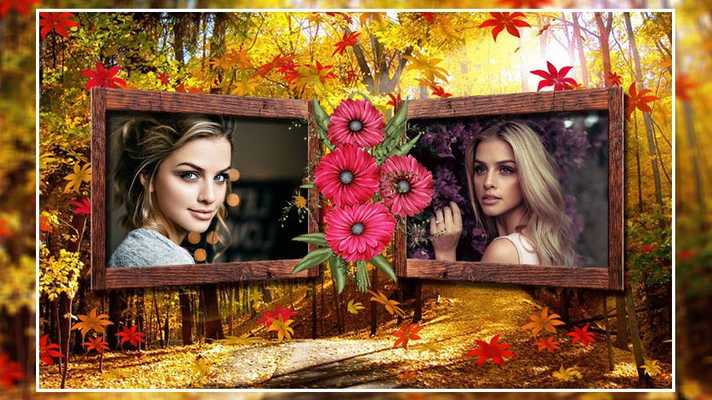 Emulate Android APK Dual Nature Photo Frame
