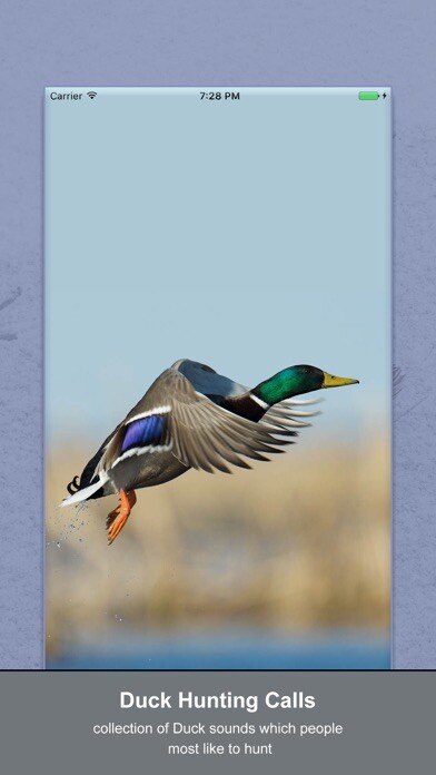 Emulate iPhone app Duck Hunting Calls New using MyAndroid Emulate iPhone app Duck Hunting Calls New using MyAndroid