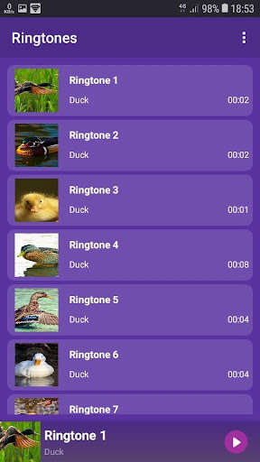Run android online APK Duck - RINGTONES and WALLPAPERS from MyAndroid or emulate Duck - RINGTONES and WALLPAPERS using MyAndroid
