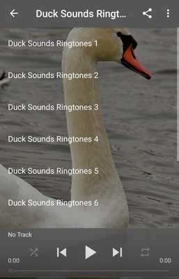 Emulate Android APK Duck Sounds Ringtones Emulate Android APK Duck Sounds Ringtones