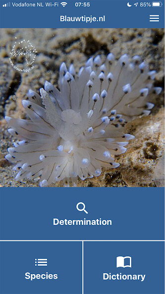 Run android online APK Dutch Nudibranchs - Blauwtipje from MyAndroid or emulate Dutch Nudibranchs - Blauwtipje using MyAndroid Run android online APK Dutch Nudibranchs - Blauwtipje from MyAndroid or emulate Dutch Nudibranchs - Blauwtipje using MyAndroid