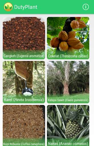 Run android online APK DutyPlant from MyAndroid or emulate DutyPlant using MyAndroid