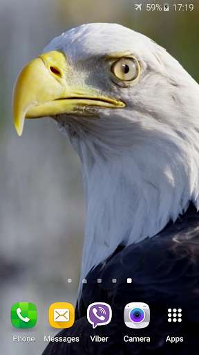 Run android online APK Eagle 3D Video Live Wallpaper from MyAndroid or emulate Eagle 3D Video Live Wallpaper using MyAndroid Run android online APK Eagle 3D Video Live Wallpaper from MyAndroid or emulate Eagle 3D Video Live Wallpaper using MyAndroid