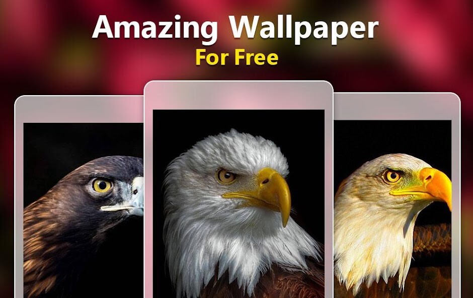 Run android online APK Eagle Live Wallpaper HD from MyAndroid or emulate Eagle Live Wallpaper HD using MyAndroid