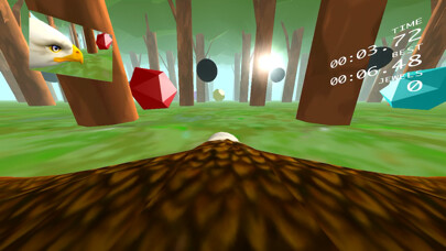 Emulate iPhone app Eagle Ride using MyAndroid