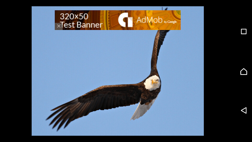 Emulate Android APK Eagle Says Emulate Android APK Eagle Says
