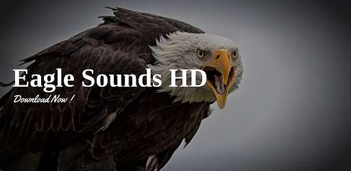 Run android online APK Eagle Sounds App from MyAndroid or emulate Eagle Sounds App using MyAndroid Run android online APK Eagle Sounds App from MyAndroid or emulate Eagle Sounds App using MyAndroid