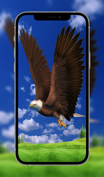 Run android online APK Eagle Wallpapers HD from MyAndroid or emulate Eagle Wallpapers HD using MyAndroid Run android online APK Eagle Wallpapers HD from MyAndroid or emulate Eagle Wallpapers HD using MyAndroid