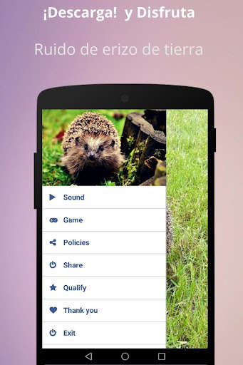 Run android online APK Earth hedgehog noise from MyAndroid or emulate Earth hedgehog noise using MyAndroid