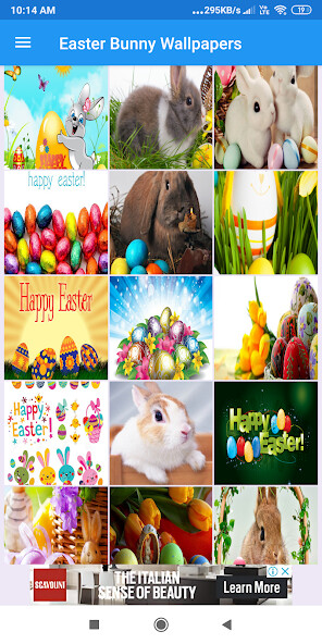 Run android online APK Easter Bunny HD Wallpapers from MyAndroid or emulate Easter Bunny HD Wallpapers using MyAndroid Run android online APK Easter Bunny HD Wallpapers from MyAndroid or emulate Easter Bunny HD Wallpapers using MyAndroid