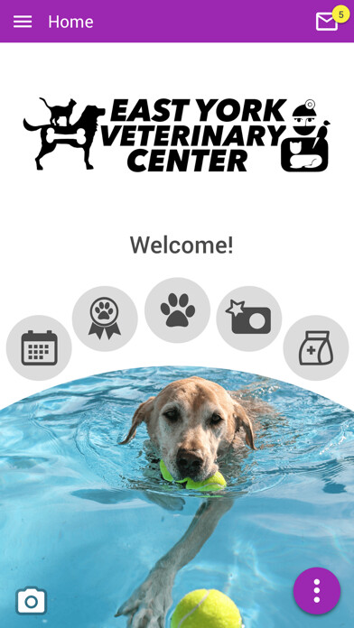 Run android online APK East York Veterinary Center from MyAndroid or emulate East York Veterinary Center using MyAndroid Run android online APK East York Veterinary Center from MyAndroid or emulate East York Veterinary Center using MyAndroid