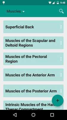 Emulate Android APK Easy Anatomy Review Emulate Android APK Easy Anatomy Review