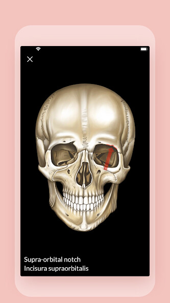 Emulate Android APK Easy Anatomy