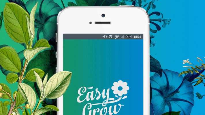 Emulate Android APK Easy Grow