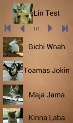 Emulate Android APK Easy Slideshow