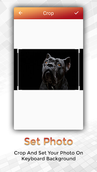 Emulate Android APK Easy Typing Lao Keyboard Fonts And Themes