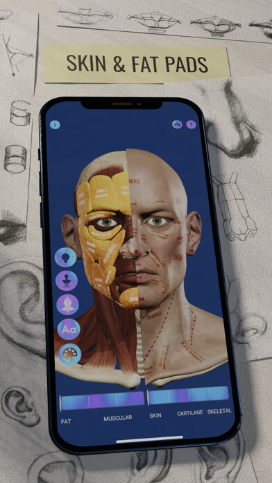 Emulate iPhone app Ecorche: Portrait Anatomy using MyAndroid
