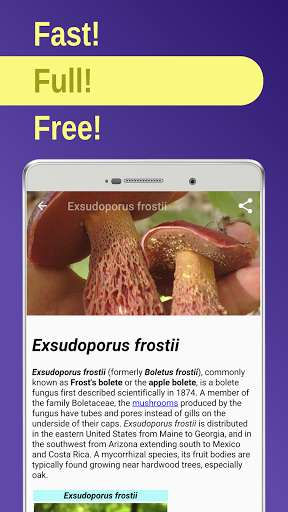 Run android online APK Edible mushroom from MyAndroid or emulate Edible mushroom using MyAndroid