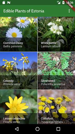 Run android online APK Edible Plants of Estonia from MyAndroid or emulate Edible Plants of Estonia using MyAndroid