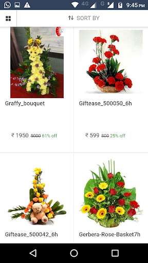 Run android online APK eFlover.com from MyAndroid or emulate eFlover.com using MyAndroid