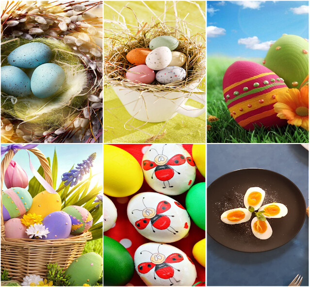 Run android online APK Egg HD Wallpaper from MyAndroid or emulate Egg HD Wallpaper using MyAndroid Run android online APK Egg HD Wallpaper from MyAndroid or emulate Egg HD Wallpaper using MyAndroid