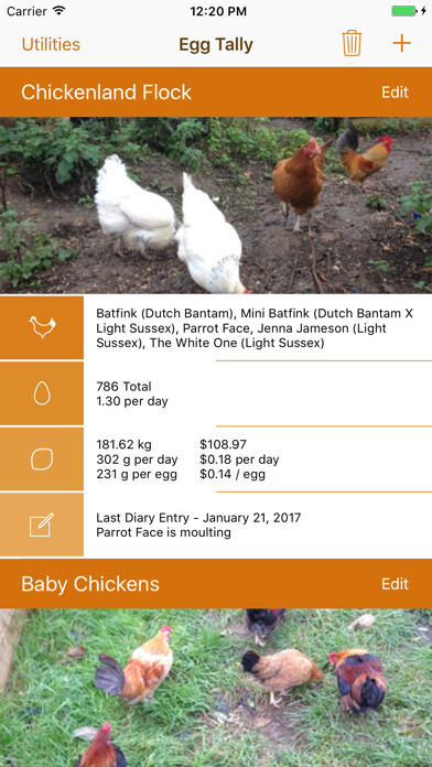Emulate iPhone app Eggsact using MyAndroid Emulate iPhone app Eggsact using MyAndroid