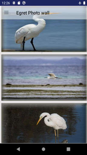 Run android online APK egret bird wallpaper from MyAndroid or emulate egret bird wallpaper using MyAndroid Run android online APK egret bird wallpaper from MyAndroid or emulate egret bird wallpaper using MyAndroid