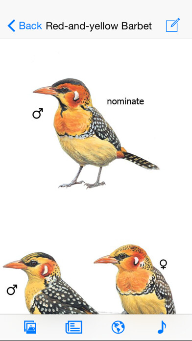 Emulate iPhone app eGuide to Birds of East Africa using MyAndroid Emulate iPhone app eGuide to Birds of East Africa using MyAndroid