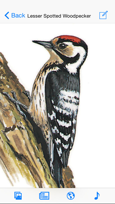 Emulate iPhone app eGuide to British Birds using MyAndroid Emulate iPhone app eGuide to British Birds using MyAndroid