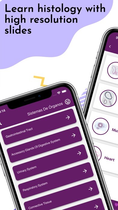 Emulate iPhone app Ehistolab - Histology Slides using MyAndroid Emulate iPhone app Ehistolab - Histology Slides using MyAndroid