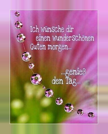 Run android online APK Einen Guten Morgen und einen Gute Nacht Bilder from MyAndroid or emulate Einen Guten Morgen und einen Gute Nacht Bilder using MyAndroid Run android online APK Einen Guten Morgen und einen Gute Nacht Bilder from MyAndroid or emulate Einen Guten Morgen und einen Gute Nacht Bilder using MyAndroid