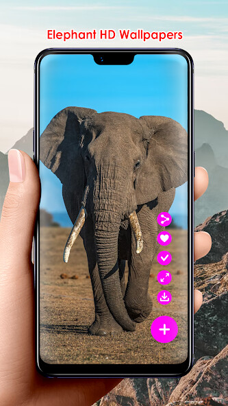 Run android online APK Elephant HD Wallpapers from MyAndroid or emulate Elephant HD Wallpapers using MyAndroid Run android online APK Elephant HD Wallpapers from MyAndroid or emulate Elephant HD Wallpapers using MyAndroid