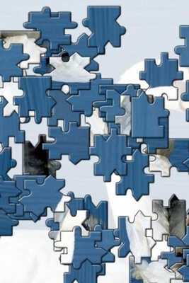 Emulate Android APK Elephant Jigsaw Puzzle Emulate Android APK Elephant Jigsaw Puzzle