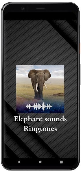 Run android online APK Elephant sounds Ringtones from MyAndroid or emulate Elephant sounds Ringtones using MyAndroid