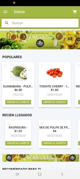 Run android online APK EL PATIO PANAMA from MyAndroid or emulate EL PATIO PANAMA using MyAndroid Run android online APK EL PATIO PANAMA from MyAndroid or emulate EL PATIO PANAMA using MyAndroid