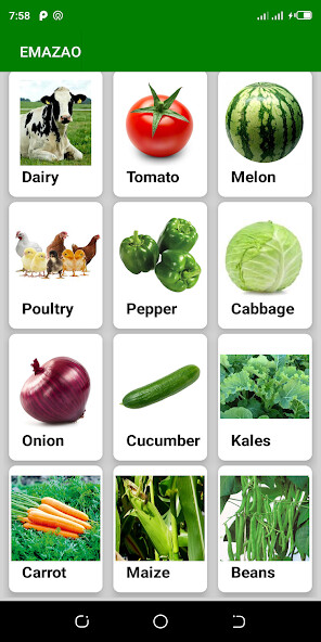 Run android online APK Emazao Crop and Livestock from MyAndroid or emulate Emazao Crop and Livestock using MyAndroid