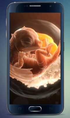 Emulate Android APK Embryo Dragon Live Wallpaper Emulate Android APK Embryo Dragon Live Wallpaper