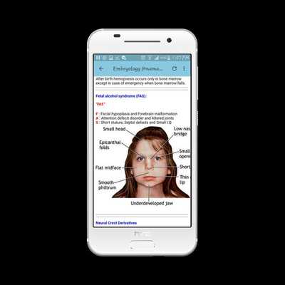 Emulate Android APK Embryology Mnemonics Emulate Android APK Embryology Mnemonics