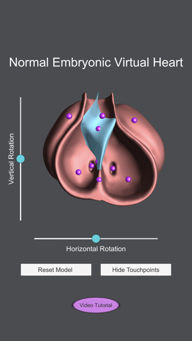 Emulate iPhone app Embryonic Virtual Heart using MyAndroid Emulate iPhone app Embryonic Virtual Heart using MyAndroid