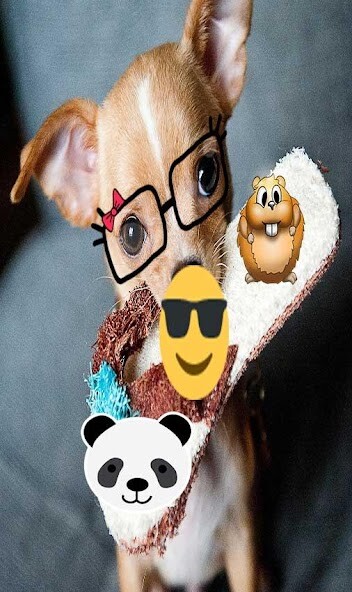 Emulate Android APK Emoji Sticker Photo Editor Emulate Android APK Emoji Sticker Photo Editor