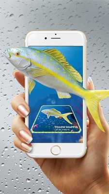 Emulate Android APK Enchanted Gallery-Fish 4D Emulate Android APK Enchanted Gallery-Fish 4D