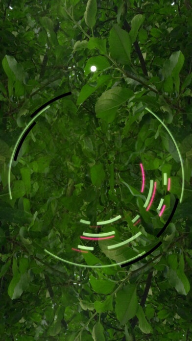 Run android online APK Encircled from MyAndroid or emulate Encircled using MyAndroid Run android online APK Encircled from MyAndroid or emulate Encircled using MyAndroid
