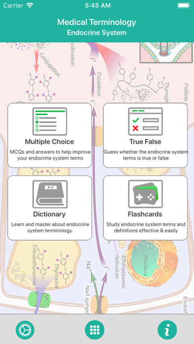 Emulate iPhone app Endocrine System Medical Terms using MyAndroid Emulate iPhone app Endocrine System Medical Terms using MyAndroid