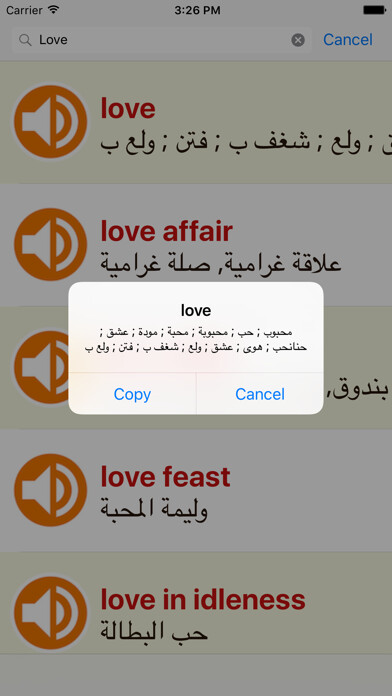 Emulate iPhone app English Arabic Dictionary Offline Free For IPad using MyAndroid