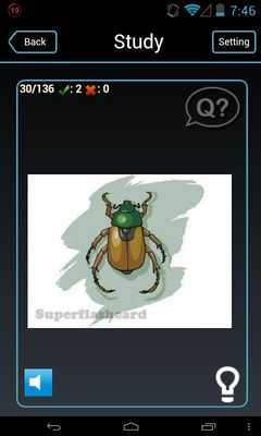 Emulate Android APK English - Belarusian flashcard