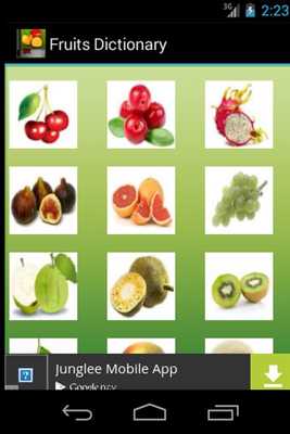 Emulate Android APK English Fruits Dictionary Emulate Android APK English Fruits Dictionary