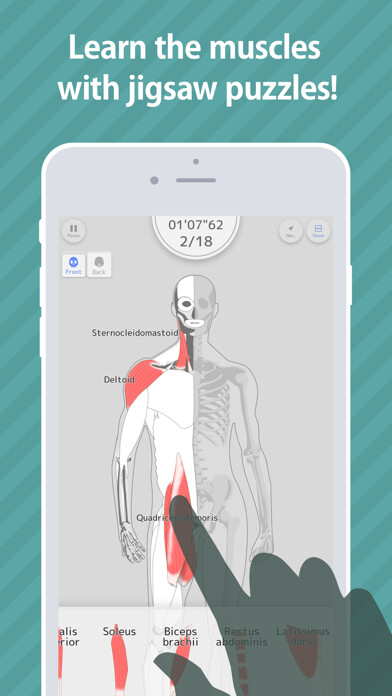 Emulate iPhone app Enjoy Learning Muscles Puzzle using MyAndroid Emulate iPhone app Enjoy Learning Muscles Puzzle using MyAndroid