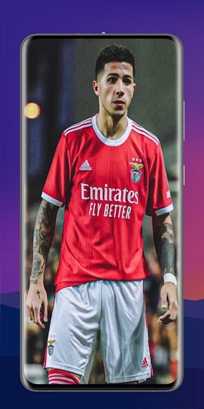 Run android online APK Enzo Fernandez 4K Wallpaper from MyAndroid or emulate Enzo Fernandez 4K Wallpaper using MyAndroid Run android online APK Enzo Fernandez 4K Wallpaper from MyAndroid or emulate Enzo Fernandez 4K Wallpaper using MyAndroid