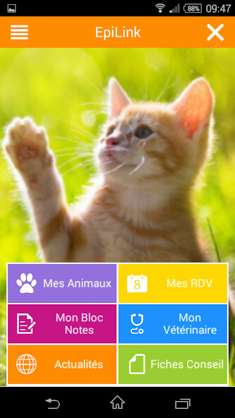 Run android online APK EpiLink from MyAndroid or emulate EpiLink using MyAndroid Run android online APK EpiLink from MyAndroid or emulate EpiLink using MyAndroid